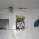 레이크폴리스2 뒤쪽 | 일산 변기교체 후기｜수압이 약한 원피스변기 문제 해결- 레이크폴리스 오피스텔