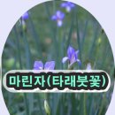 타래 이미지