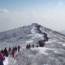 청수초교 이미지
