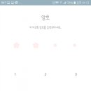콩디