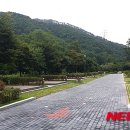 용두산오토캠핑장 이미지