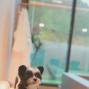 홍천감성공간 이미지