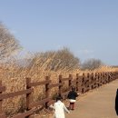 삼기저수지-1(주차장) | 창원 동읍 맛집 주남저수지돌짜장 아기랑 주말 방문 후기 주차장 아기의자 웨이팅