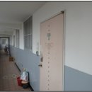 강남5길(정하동) 이미지