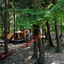 남해편백자연휴양림 이미지