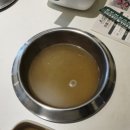 봄담아샤브샤브 | 봄담아 샤브샤브 가족 외식 후기, 청라 샤브샤브, 인천 청라 맛집