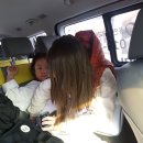 용인대 자란 태권도장 이미지