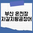 부산자갈치왕곰장어 | 부산 온천장 부산자갈치왕곰장어 부산꼼장어맛집 내돈내산솔직후기
