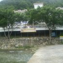 파래소 리조트유스호스텔 Daum카페