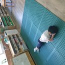 행복한새싹어린이집 이미지