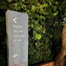 친환경스카이웨이 전망대 이미지