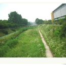 우면산6-13 이미지