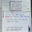 영통유도체육관 | 주짓수 일지 이희성주짓수 수원 영통 수원주짓수 영통주짓수 여성 운동추천