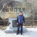 싸인텍 이미지
