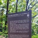 불당골 마애여래입상 | [절] 충남 천안시 태학사 삼태리마애여래입상, 법왕사 동굴큰법당 방문 후기 🪷