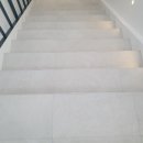 강남동물병원 이미지