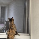 꾸미크네