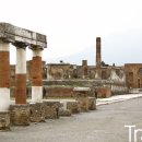 스테디(Steady) 이미지