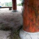 엘지봉산 네이버블로그