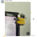 영카인테리어 | 3월 한달의 절반 정도 아픈 나, 봄 시작