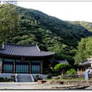 용문마을회관 (용문마을방면) 이미지