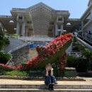 해현유통 | <오키나와 북부 버스투어> 지노투어 일일투어 내돈내산 후기! 츄라우미 수족관,만좌모