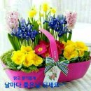 좋은 아침 이미지