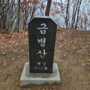 2월15일 토요일 금병산 이미지