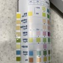 동물병원알루 | 2년 기다린 시루의 건강검진