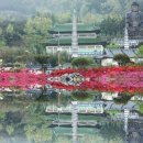 남미륵사 이미지