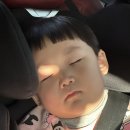 토피아 인형뽑기 중앙역점 | 에버랜드 윈터토피아 (윈터토피아 기간~25.3.3) 문라이트 퍼레이드 , 무민 불꽃놀이 후기 🖤