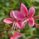 분당유외과의원 이미지