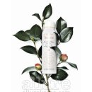 뷰티에코 코리아 이미지