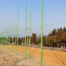 태인체육공원 이미지