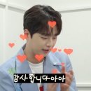 골드팝