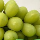 대길농장 이미지