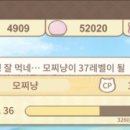 모찌냥 이미지