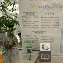 맡김스파