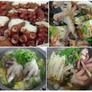 국산 문어 전문 업체 가격 / 자숙문어 1kg 파는곳 추천 / 돌문어 손질법 삶는방법 이미지