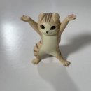 올해 여름은 shutcho!