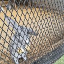 자연한우농장 | 아이랑 떠나는 국내여행 추천｜여수한우드림 동물체험장 솔직 후기