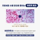 대전하프의원 이미지