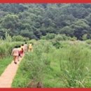 태권도 골든로드 이미지