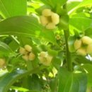 춘산여관 이미지