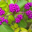 이석재 사무소 이미지