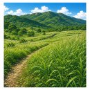 평전상회