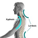 피네테스 이미지