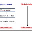 사천온누리약국 이미지