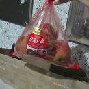 롯데문경 | 롯데마트 제타 할인으로 문경 햇사과 제철 과일 득템 후기