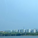 거여서울약국 | 5월은 푸르구나